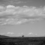 DSCF2997b-1024x768