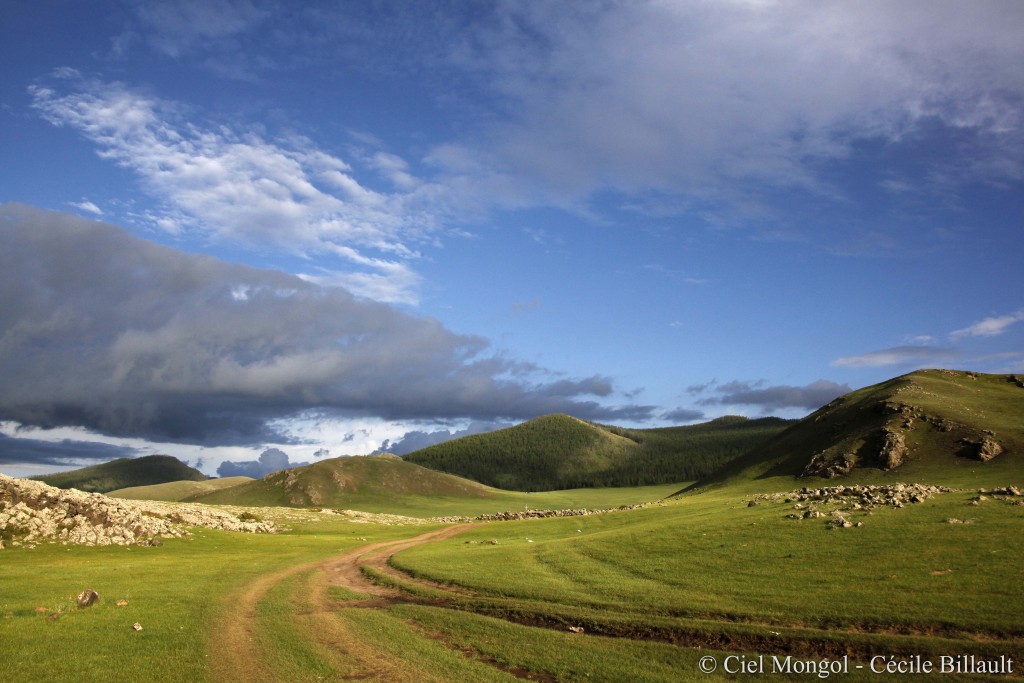 Vallée de l'Orkhon