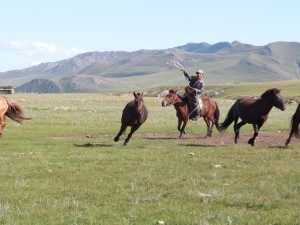 Voyage à Cheval en Mongolie