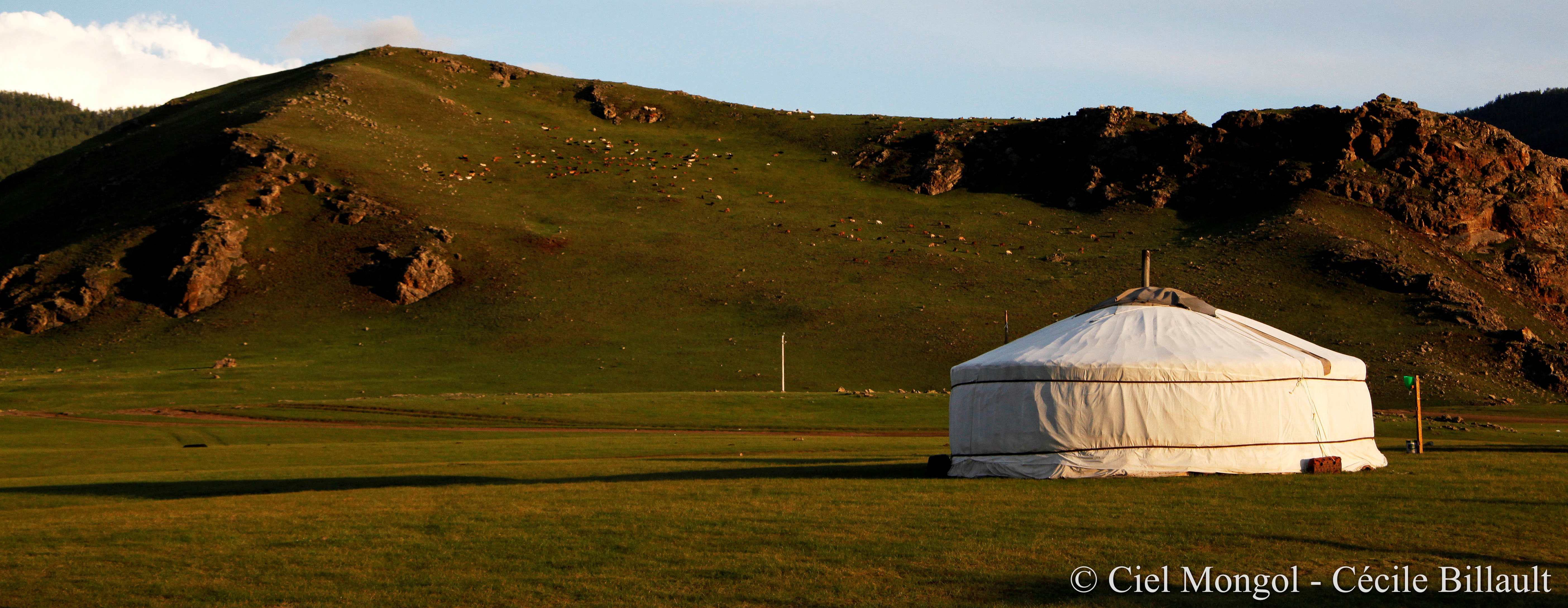 Les Meilleures Yourtes Mongols de BuoQua Tente Mongole - Tentes de Camping