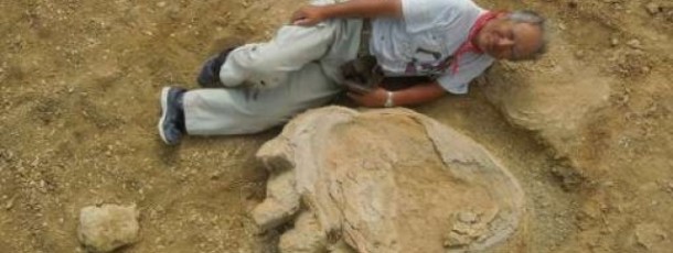 Empreinte géante de dinosaure découverte dans le Gobi