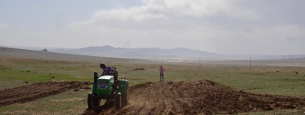 Un potager pour les familles nomades – étape 1